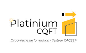 PLATINIUM_CQFT_LOGOTYPE_quadri
